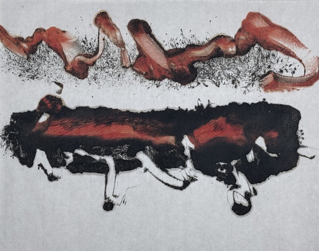 6d97ca89 245f 4d16 9996 f7f23116a6f8 1 201 a copy