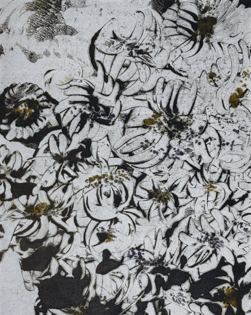 9cce2d81 cddb 4e14 8ef5 c44525d24e13 1 201 a copy