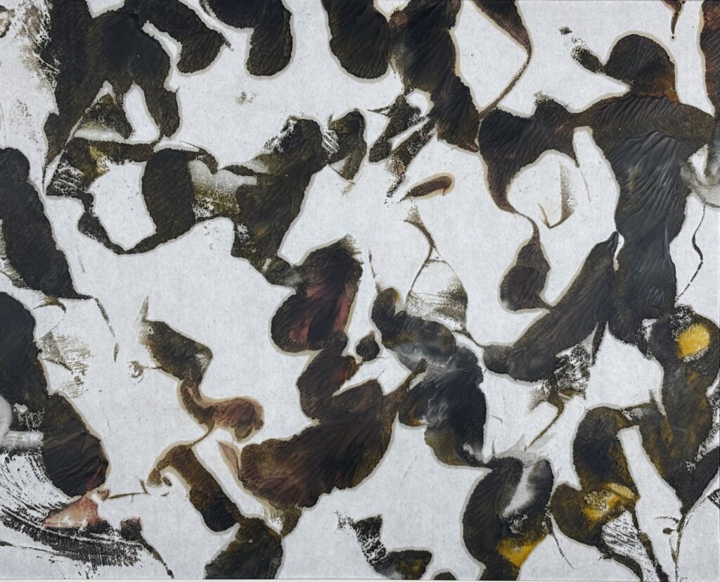 fc8f562d 8466 4cab bc9c 5673fc1f2373 1 201 a copy